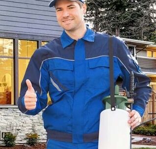 pest control number one mbl